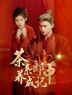 茶系郎中养成记（47集）全集