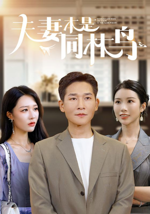 夫妻本是同林鸟(76集) 夫妻本是同林鸟(76集)夸克网盘在线看