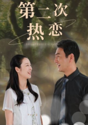 第二次热恋(48集) 第二次热恋(48集)短剧前十排行榜