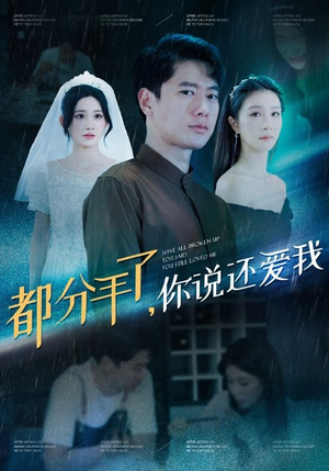 都分手了你说还爱我(33集) 都分手了你说还爱我(33集)独家内容免费看