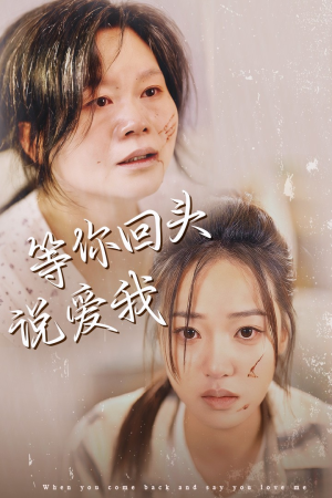 等你回头说爱我(87集) 等你回头说爱我(87集)热门短剧推广