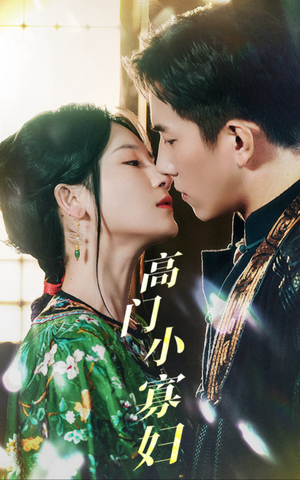 高门小寡妇（60集）真的太好看了