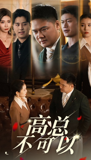 高总不可以(45集) 高总不可以(45集)短剧免费看全集