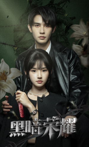 黑暗荣耀（66集）热播短剧免费看