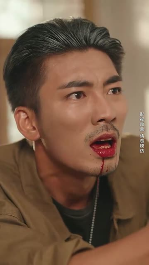 大夏荣耀(74集) 大夏荣耀(74集)第一季