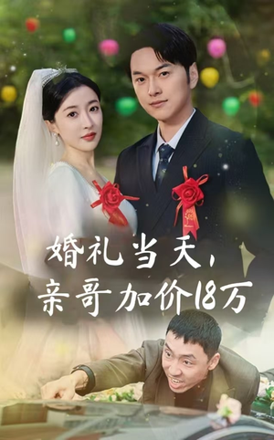婚礼当天,亲哥加价18万(36集) 婚礼当天,亲哥加价18万(36集)一口气看完全集