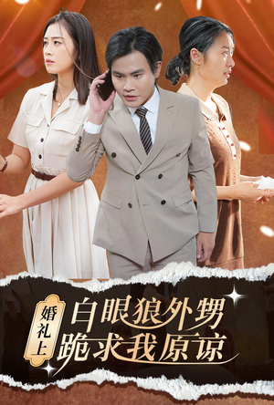 婚礼上白眼狼外甥跪求我原谅（35集）免费看短剧全集