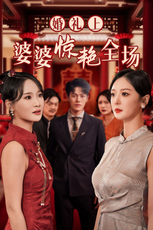 婚礼上婆婆惊艳全场（35集）评价怎么样