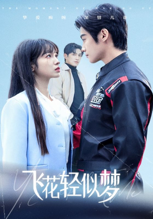 飞花轻似梦(37集) 飞花轻似梦(37集)海量资源免费看