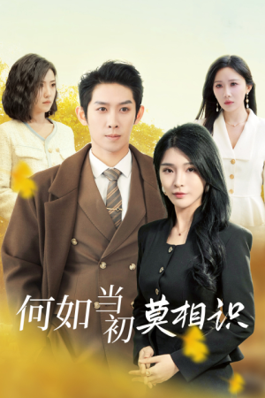 何如当初莫相识(36集) 何如当初莫相识(36集)不用花钱看全剧