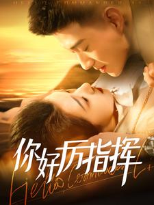 你好厉指挥(100集) 你好厉指挥(100集)短剧每日分享