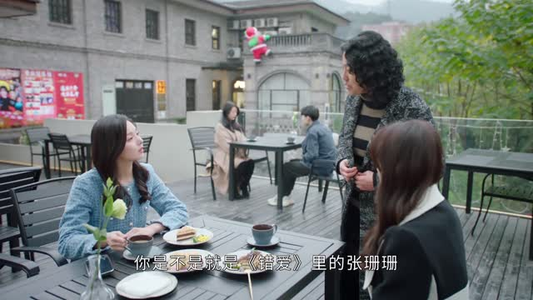 婚姻攻略（16集）百度网盘在线看