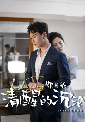 你是我清醒的沉沦(48集) 你是我清醒的沉沦(48集)短剧在线观看