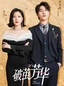 破茧芳华(80集) 破茧芳华(80集)精彩好看短剧