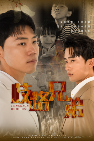歧路兄弟(63集) 歧路兄弟(63集)网盘在线观看
