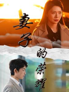 妻子的荣耀（40集）短剧也太好看了