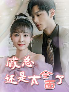 戚总今天追到夫人了么（57集）免费观看完整版