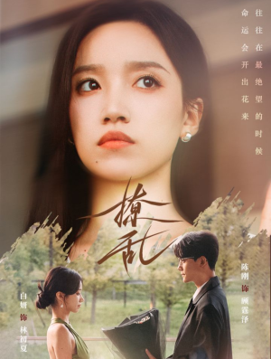 撩乱(65集) 撩乱(65集)热播短剧免费看