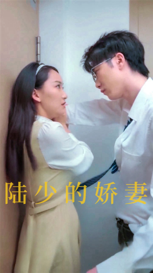 陆少的娇妻(100集) 陆少的娇妻(100集)真的好看吗