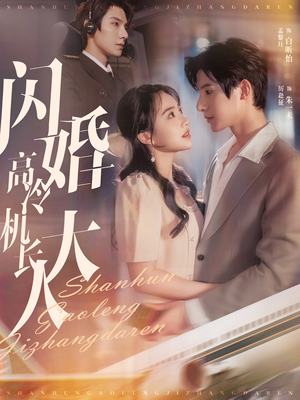 闪婚高冷机长大人（92集）海量资源免费看