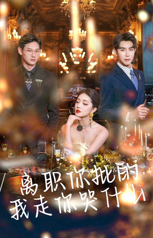 离职你批的，我走你哭什么（30集）精彩的短剧