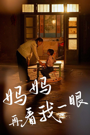 妈妈再看我一眼(32集) 妈妈再看我一眼(32集)观看软件