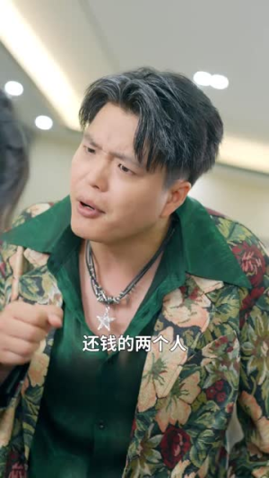 手心手背都是肉(80集) 手心手背都是肉(80集)短剧太好看