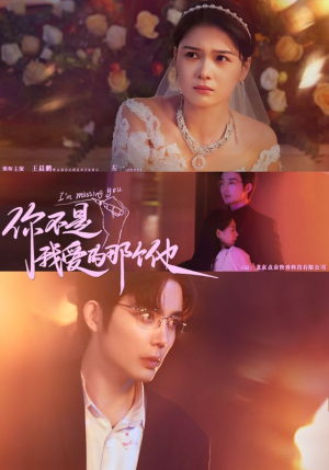 你不是我爱的那个他（54集）短剧解说全集
