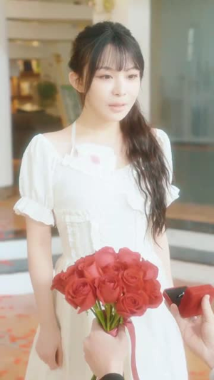 心荡神摇(25集) 心荡神摇(25集)第一季