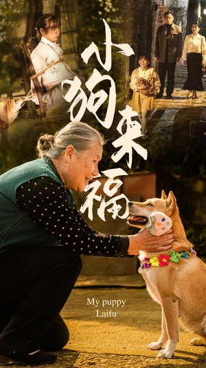 小狗来福(30集) 小狗来福(30集)全剧免费观看