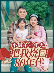 小舅子一把火把我烧回80年代（100集）红果短剧免费看