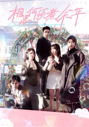 相思何须煮余年(33集) 相思何须煮余年(33集)网盘在线观看