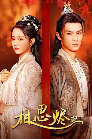 相思烬（62集）常回家看看短剧