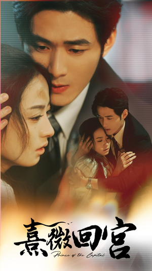 熹微回宫（61集）剧情简介
