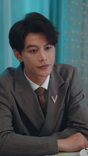 夏阳的轮回（85集）评价怎么样