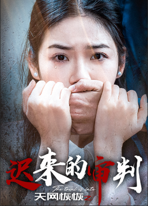 天网恢恢之迟来的审判（31集）最火短剧热播中