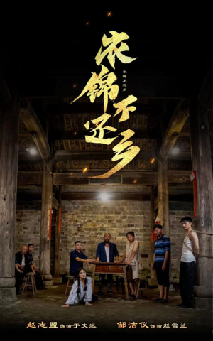 衣锦不还乡（69集）热门短剧免费看