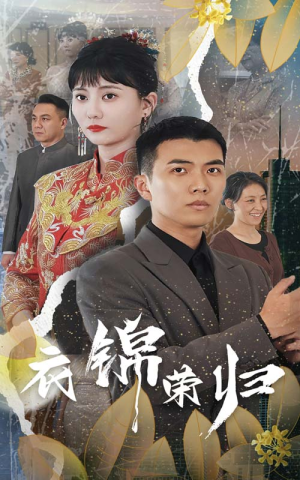 衣锦荣归(81集) 衣锦荣归(81集)热播短剧免费看