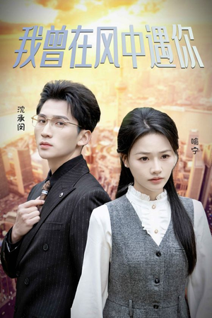 我曾在风中遇你（30集）深深爱上这部剧
