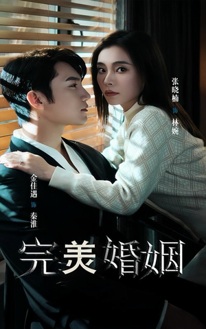 完美婚姻(65集) 完美婚姻(65集)红果短剧免费看