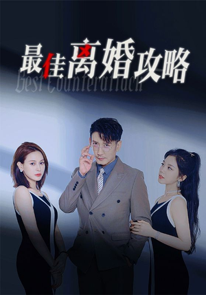 最佳离婚攻略(31集) 最佳离婚攻略(31集)短剧看全集