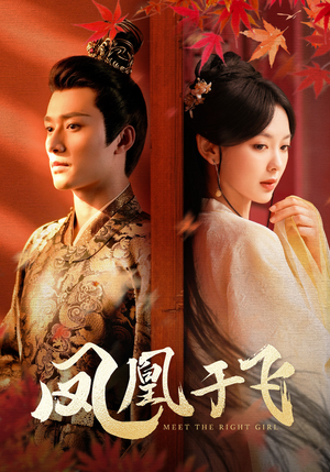 凤凰于飞(79集) 凤凰于飞(79集)短视频追剧推荐