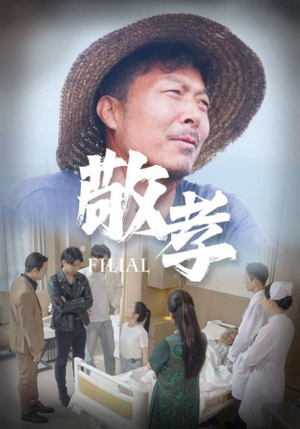 敬孝(61集) 敬孝(61集)热门了短剧