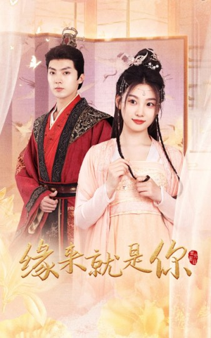缘来就是你（65集）精彩好看短剧