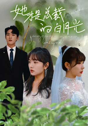她才是总裁的白月光(90集) 她才是总裁的白月光(90集)短剧视频分享