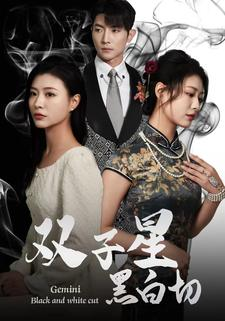 双子星黑白切(82集) 双子星黑白切(82集)红果免费短剧