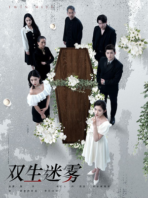 双生迷雾（80集）短剧免费观看