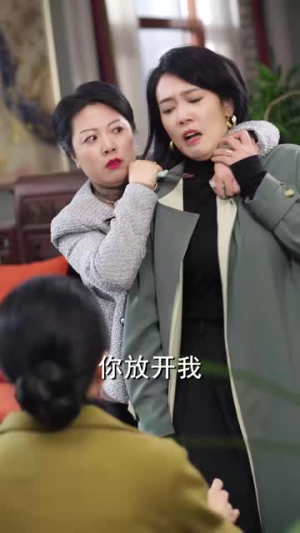 春雪落无声(67集) 春雪落无声(67集)短视频追剧推荐