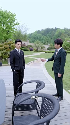 傅总娇妻你别逃（80集）360网盘观看