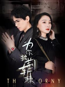 为你披荆斩棘（90集）最火爆短剧